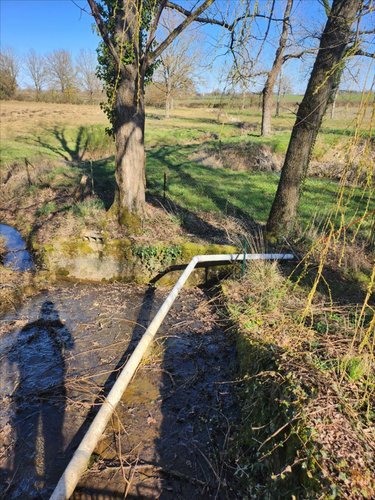 Terrains de loisirs bois etangs a vendre Touchay 18160 Cher 30545 m2  85760 euros