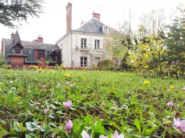 propriete a vendre Cour-Cheverny 41700 Loir-et-Cher 256 m2 11 pièces 444968 euros