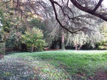 propriete a vendre Cour-Cheverny 41700 Loir-et-Cher 256 m2 11 pièces 420000 euros