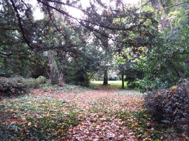 propriete a vendre Cour-Cheverny 41700 Loir-et-Cher 256 m2 11 pièces 420000 euros