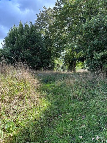 Maison a vendre Carhaix-Plouguer 29270 Finistère 40 m2 4 pièces 114950 euros