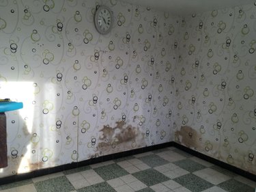 Maison a vendre Bierne 59380 Nord 54 m2 1 pièce 87500 euros