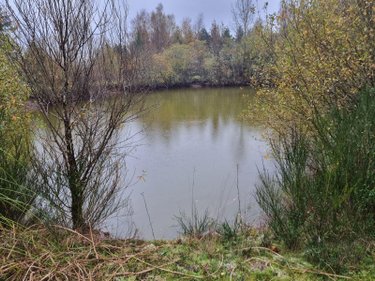 Terrains de loisirs bois etangs a vendre Selles-Saint-Denis 41300 Loir-et-Cher 22900 m2  33780 euros