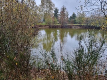 Terrains de loisirs bois etangs a vendre Selles-Saint-Denis 41300 Loir-et-Cher 22900 m2  33780 euros