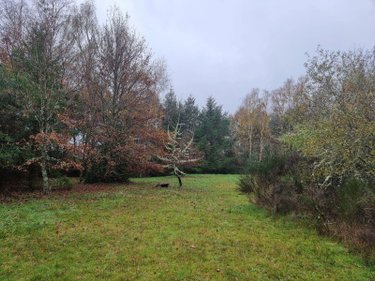 Terrains de loisirs bois etangs a vendre Selles-Saint-Denis 41300 Loir-et-Cher 22900 m2  33780 euros