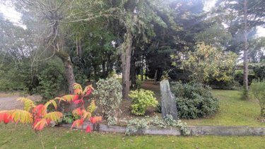 Viager maison La Chapelle-Gaceline 56200 Morbihan 195 m2 7 pièces 100000 euros