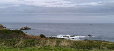 Terrains de loisirs bois etangs a vendre Plouguerneau 29880 Finistère 882 m2  40620 euros