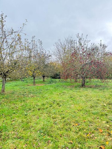 Terrain a batir a vendre Ry 76116 Seine-Maritime 1000 m2  45000 euros