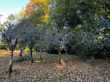 Maison a vendre Scaër 29390 Finistère 125 m2 7 pièces 265000 euros