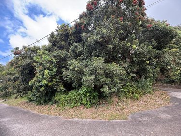 Terrain a batir a vendre Saint-Joseph 97480 Réunion 928 m2  139300 euros