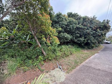 Terrain a batir a vendre Saint-Joseph 97480 Réunion 928 m2  139300 euros