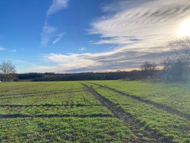 Terrain a batir a vendre Cornant 89500 Yonne 2667 m2  63900 euros