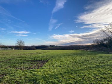 Terrain a batir a vendre Cornant 89500 Yonne 2667 m2  63900 euros