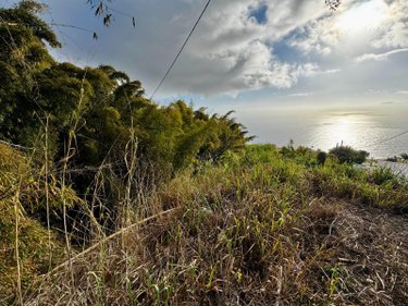 Bien agricole a vendre La-Chaloupe 97416 Réunion  14000 euros