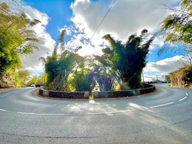 Bien agricole a vendre La-Chaloupe 97416 Réunion  14000 euros