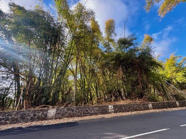 Bien agricole a vendre La-Chaloupe 97416 Réunion  8900 euros