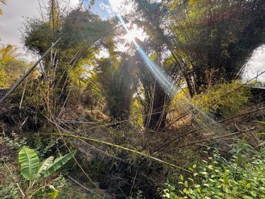 Bien agricole a vendre La-Chaloupe 97416 Réunion  8900 euros