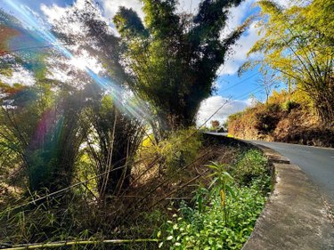 Bien agricole a vendre La-Chaloupe 97416 Réunion  14000 euros
