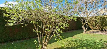 Maison a vendre Les Baux-Sainte-Croix 27180 Eure 64 m2 3 pièces 157500 euros