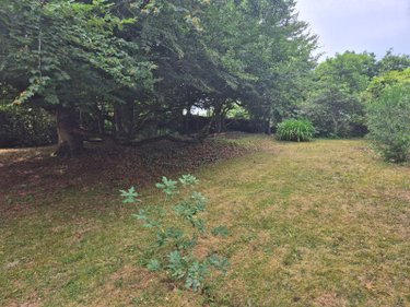 Maison a vendre Roscoff 29680 Finistère 130 m2 6 pièces 413500 euros