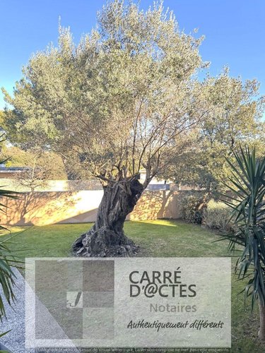 Maison a vendre Nîmes 30000 Gard 500 m2 7 pièces 1375000 euros