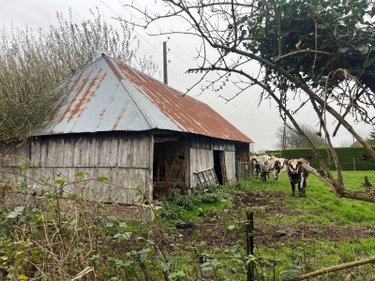Bien agricole a vendre Capelle-les-Grands 27270 Eure  19500 euros