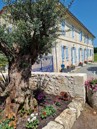 Maison a vendre Blésignac 33670 Gironde 250 m2 7 pièces 570000 euros