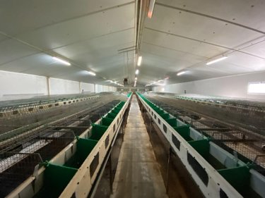 Bien agricole a vendre La Baconnière 53240 Mayenne  65040 euros