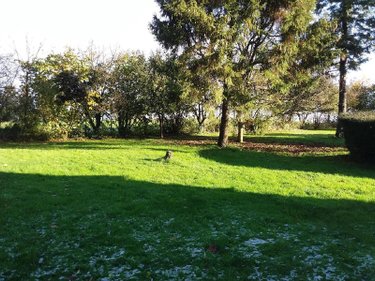 Maison a vendre Bazouges-la-Pérouse 35560 Ille-et-Vilaine 167 m2 15 pièces 307400 euros