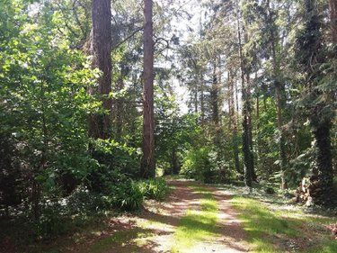 Maison a vendre Dingé 35440 Ille-et-Vilaine 175 m2 8 pièces 307400 euros