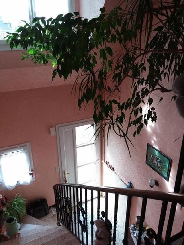 Maison a vendre Fougères 35300 Ille-et-Vilaine 121 m2 6 pièces 259700 euros