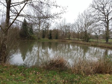 Terrains de loisirs bois etangs a vendre Marcillé-Raoul 35560 Ille-et-Vilaine 5230 m2  35000 euros