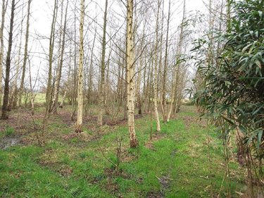 Terrains de loisirs bois etangs a vendre Marcillé-Raoul 35560 Ille-et-Vilaine 5230 m2  35000 euros