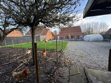 Maison a vendre Ochtezeele 59670 Nord 213 m2 7 pièces 384100 euros