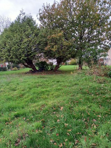 Terrain a batir a vendre Crozon 29160 Finistère 287 m2  28000 euros