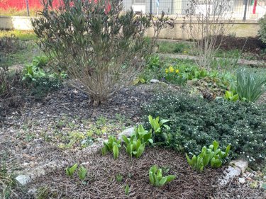 Maison a vendre Ribérac 24600 Dordogne 79 m2 4 pièces 134820 euros