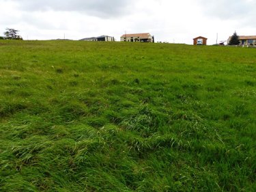 Terrain a batir a vendre Ribérac 24600 Dordogne 1107 m2  22819 euros