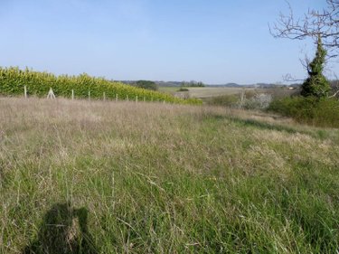 Terrain a batir a vendre Les Essards 16210 Charente 2929 m2  25503 euros