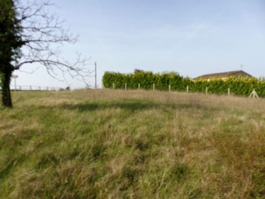 Terrain a batir a vendre Les Essards 16210 Charente 2929 m2  25503 euros