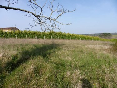 Terrain a batir a vendre Les Essards 16210 Charente 2929 m2  25503 euros