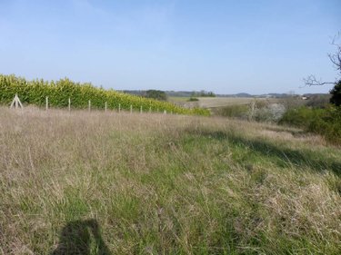 Terrain a batir a vendre Les Essards 16210 Charente 2929 m2  25503 euros