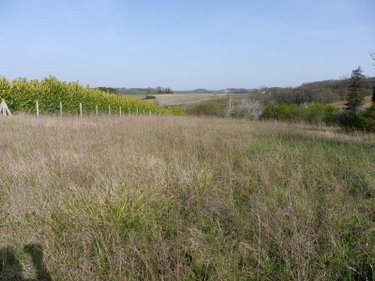 Terrain a batir a vendre Les Essards 16210 Charente 2929 m2  25503 euros