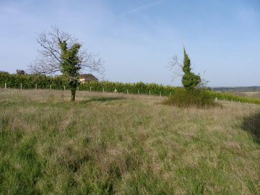Terrain a batir a vendre Les Essards 16210 Charente 2929 m2  25503 euros