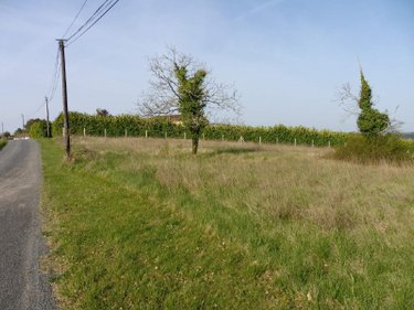 Terrain a batir a vendre Les Essards 16210 Charente 2929 m2  25503 euros
