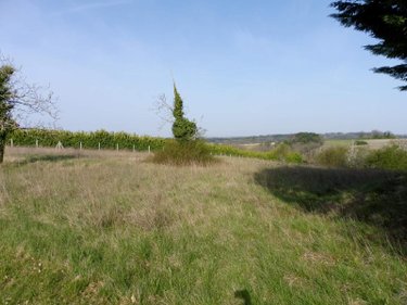 Terrain a batir a vendre Les Essards 16210 Charente 2929 m2  25503 euros