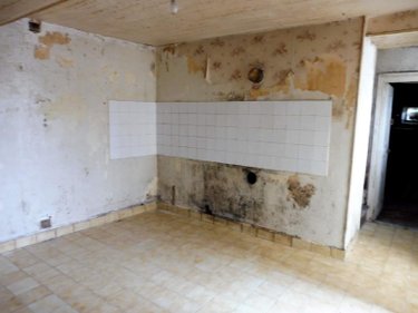 Maison a vendre Saint-Martin-de-Ribérac 24600 Dordogne 65 m2 3 pièces 35000 euros