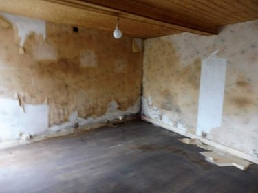 Maison a vendre Saint-Martin-de-Ribérac 24600 Dordogne 65 m2 3 pièces 35000 euros