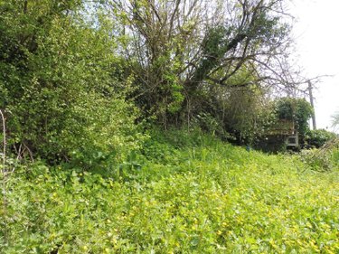 Maison a vendre Saint-Martin-de-Ribérac 24600 Dordogne 65 m2 3 pièces 35000 euros