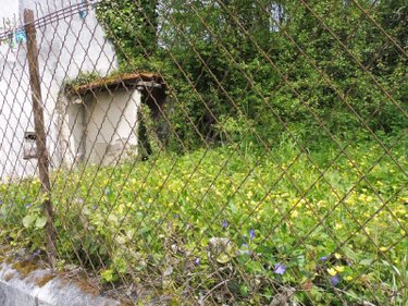 Maison a vendre Saint-Martin-de-Ribérac 24600 Dordogne 65 m2 3 pièces 35000 euros