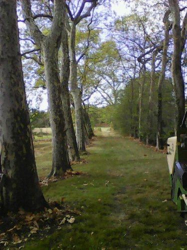 Terrain a batir a vendre Montendre 17130 Charente-Maritime 7707 m2  25000 euros